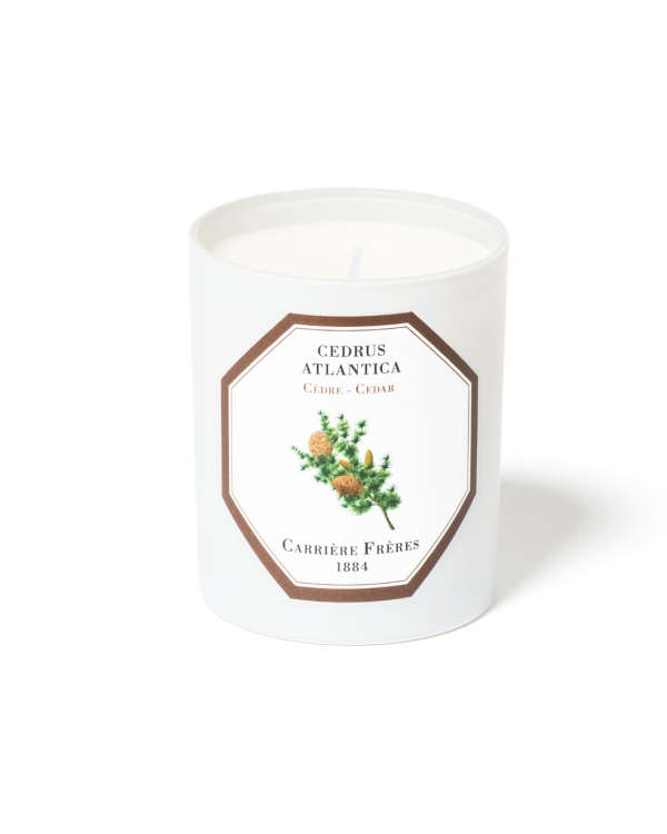 Carriere Freres Cedar Candle