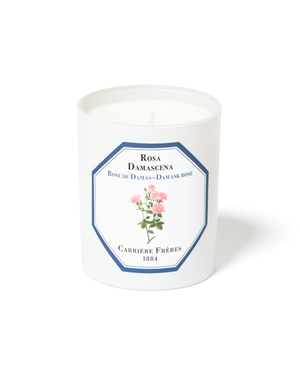 Carriere Freres Damask Rose Candle