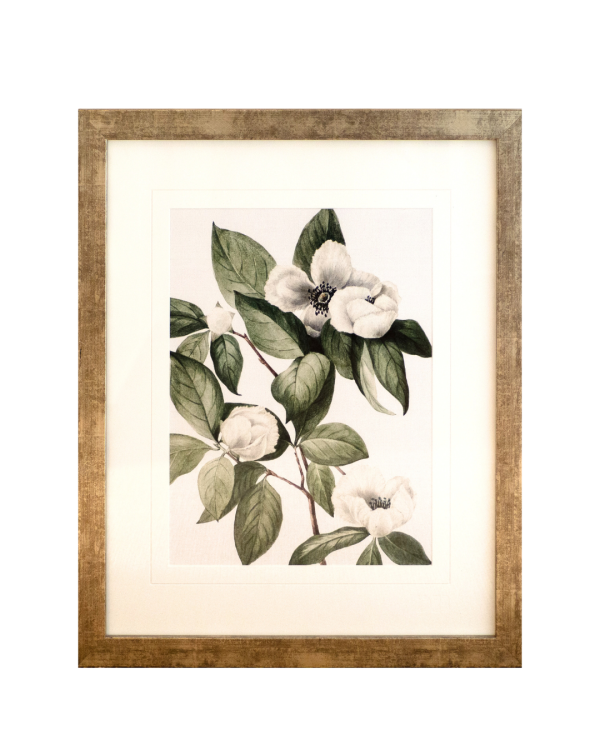 Phillipson Floral XI By Designer Boys